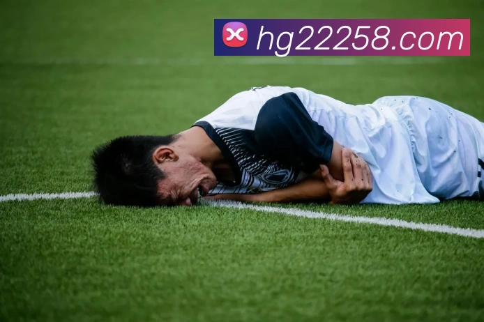 互动解说服务